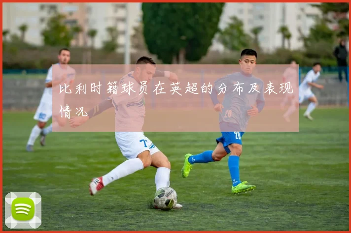 比利时籍球员在英超的分布及表现情况